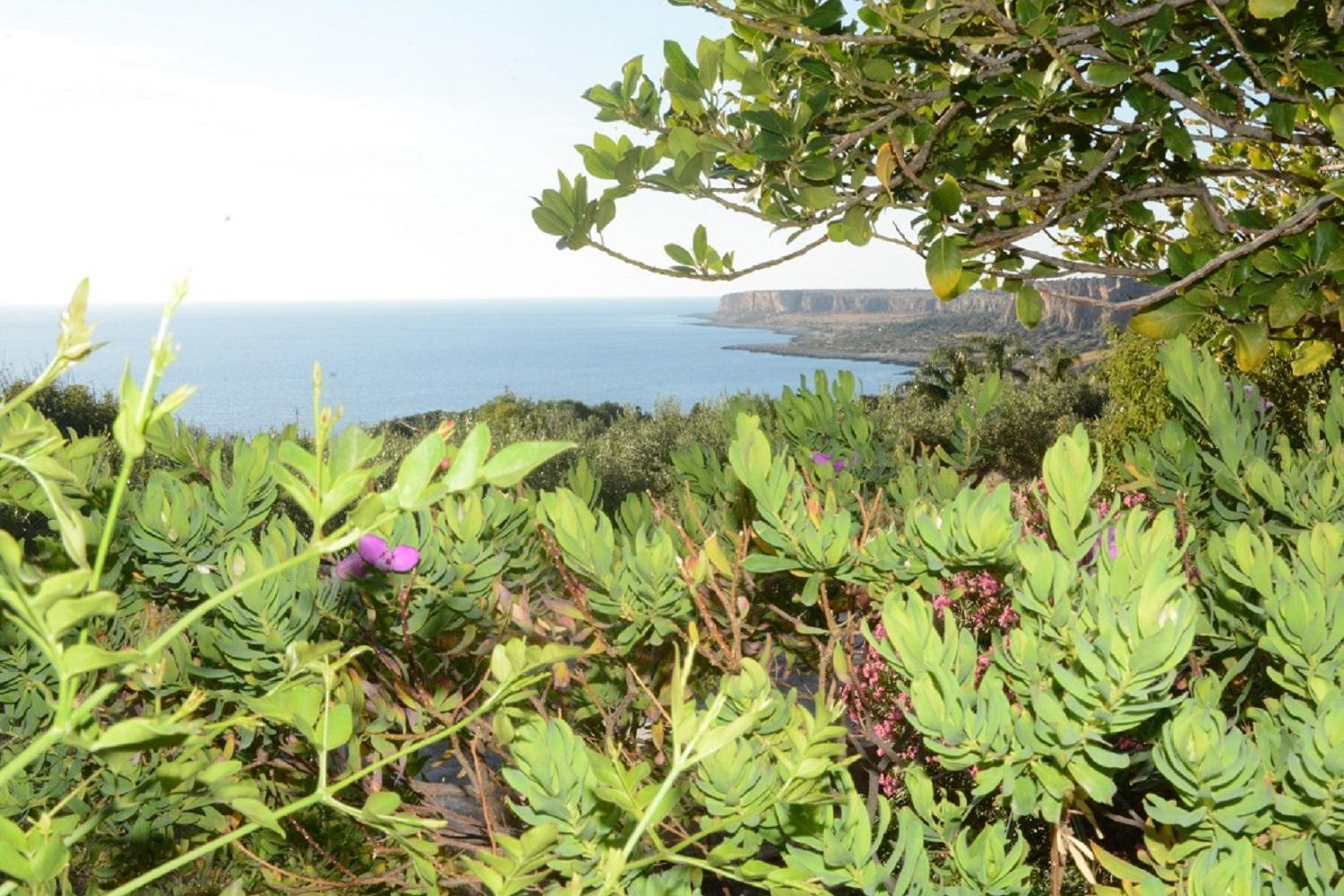 Appartamento Casa Magnolia San Vito Lo Capo Dış mekan fotoğraf